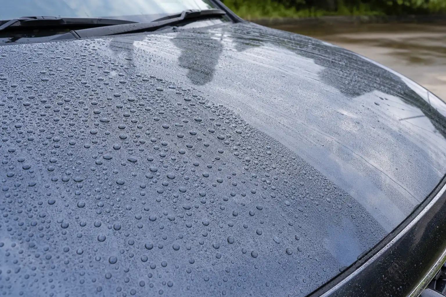 雨上がりのボンネットで水玉になる撥水と水が広がる親水を見比べた様子
