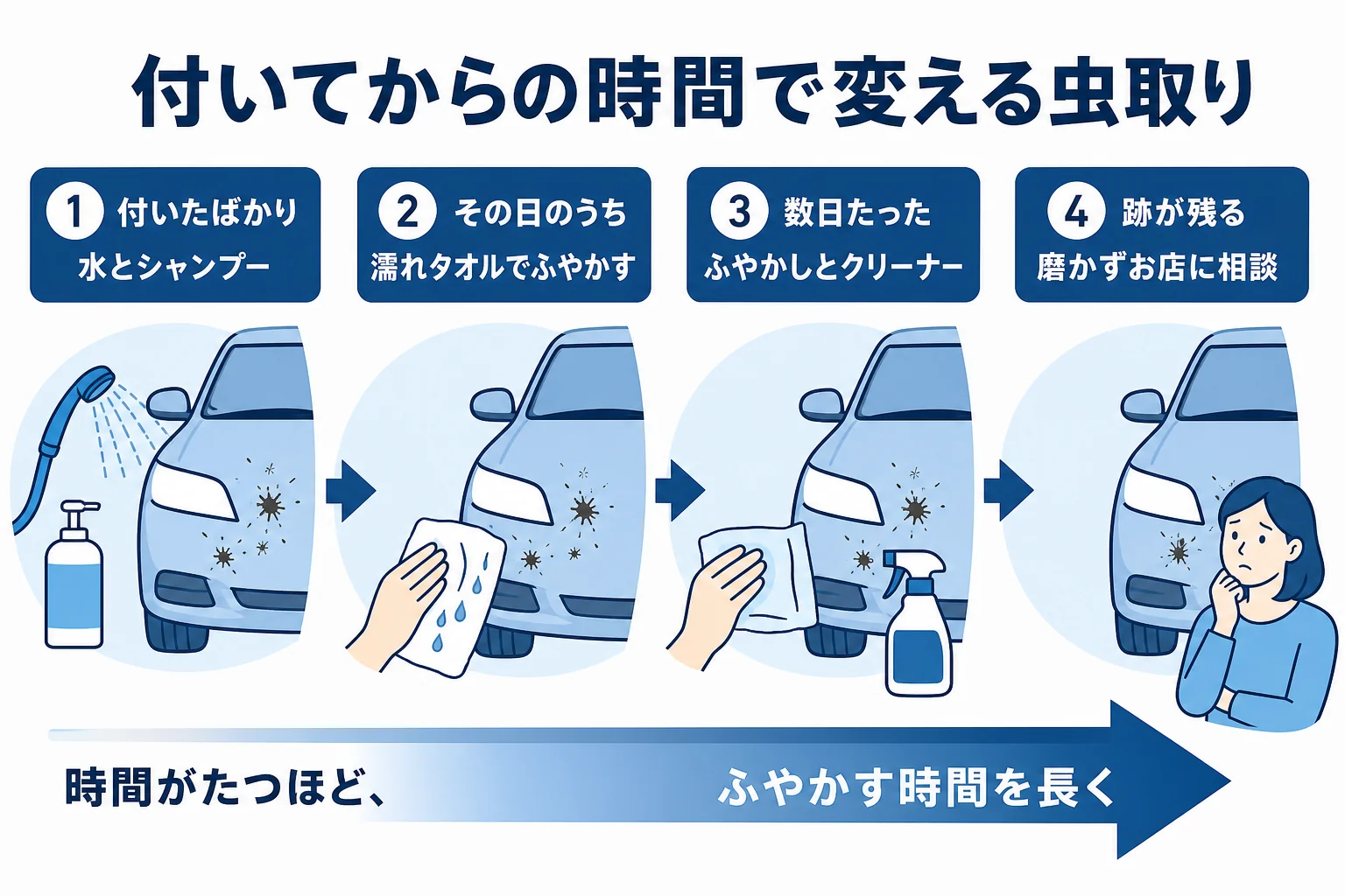 洗車での虫取りを付いてからの時間で分けて落とし方を変える時間軸の図解